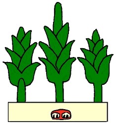 Nomenclatura