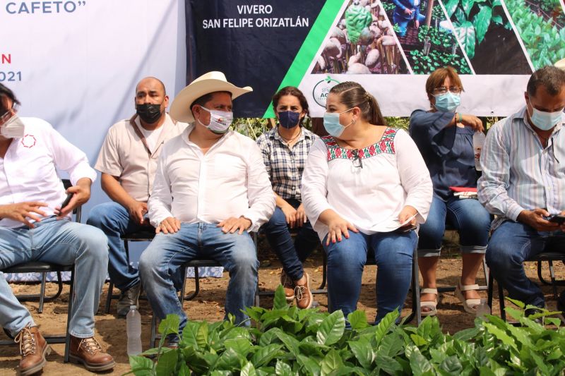ENTREGA DE PLANTAS DE CAFE POR LA PRESIDENTA ERIKA SAAB LARA
