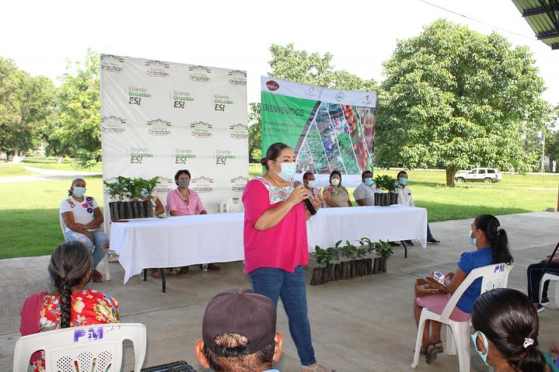 REACTIVACION ECONOMICA
